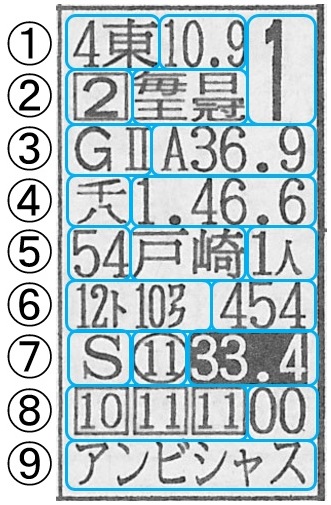 競馬新聞の見方 ニッカン